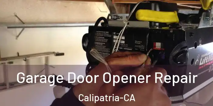  Garage Door Opener Repair Calipatria-CA