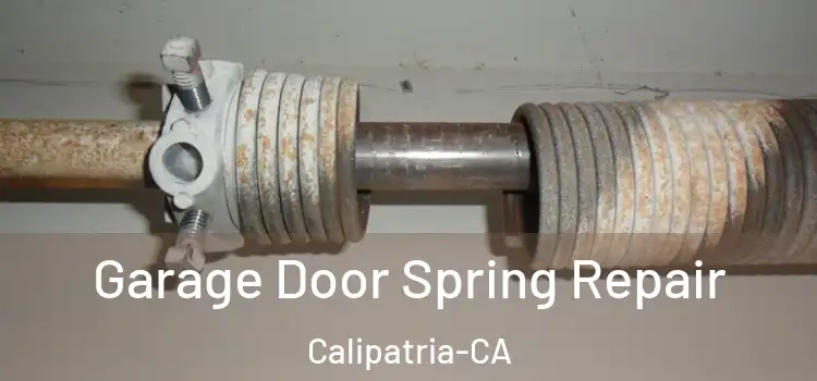  Garage Door Spring Repair Calipatria-CA