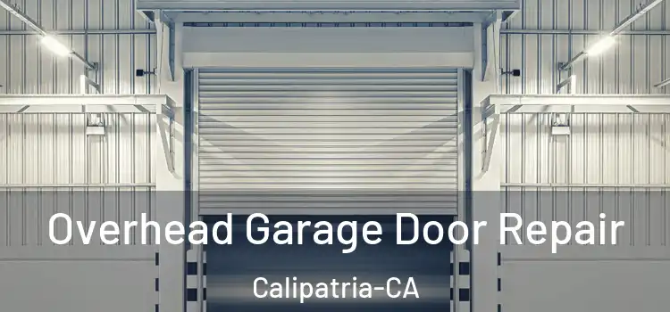  Overhead Garage Door Repair Calipatria-CA